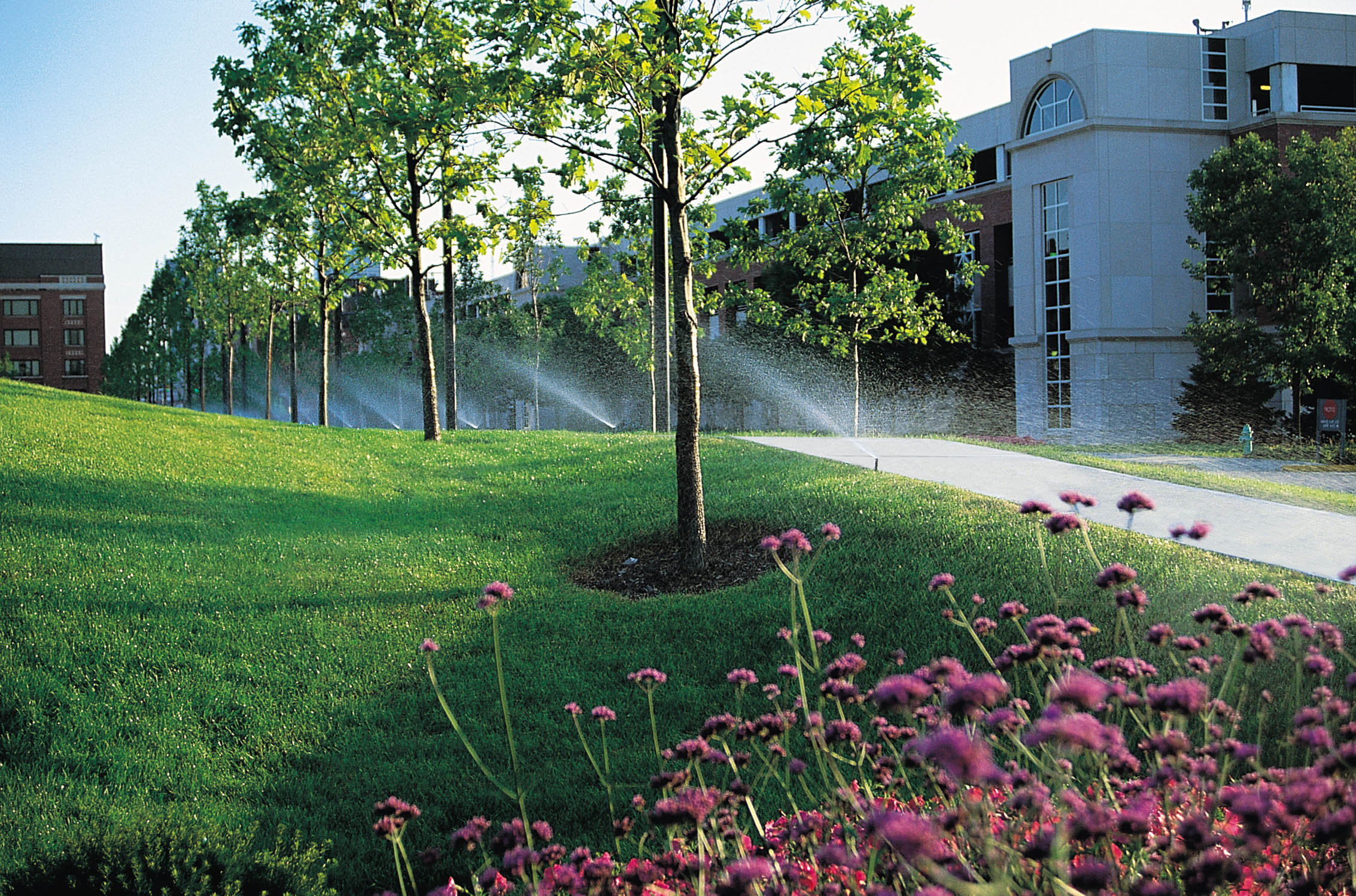 Commercial Irrigation Systems | Sprinkler Solutions ...