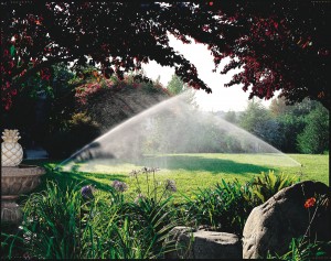 residential-rain-bird-sprinklers